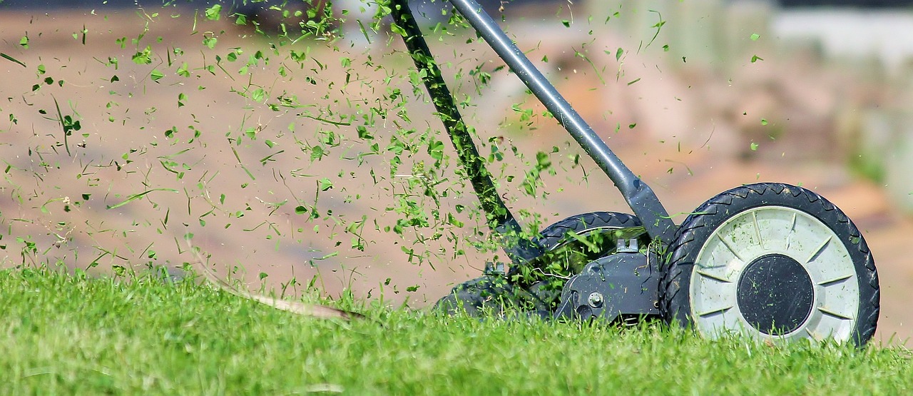 3 chyby, kterých se možná dopouštíte při sečení trávníku i vy